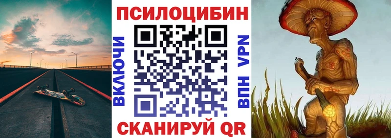 закладка  Нея  Псилоцибиновые грибы прущие грибы 